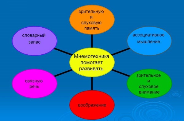 Мнемотехника для развития памяти взрослым: упражнения, тренировка. Как развить, улучшить память и внимание человека. Игры, стихи