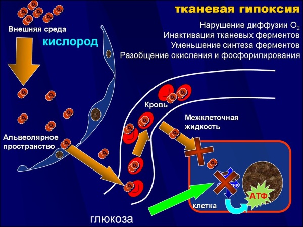 Моторная алалия у ребенка 1-2-3-4-5 лет. Что это, симптомы, признаки, лечение, коррекционная работа