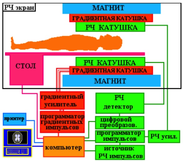 Вредно ли для здоровья МРТ? Противопоказания для детей, взрослых, беременных