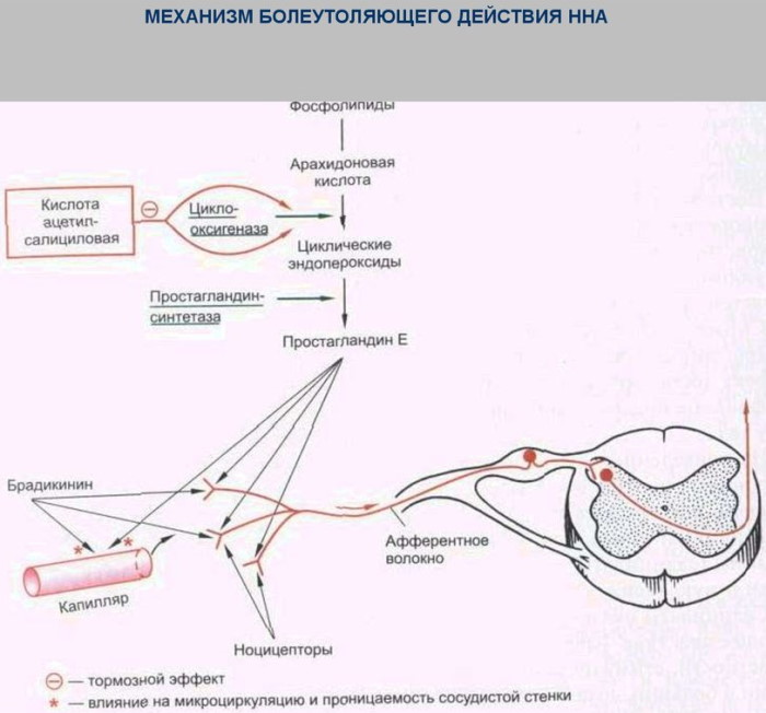 Мотрин. Инструкция по применению, цена, отзывы, аналоги