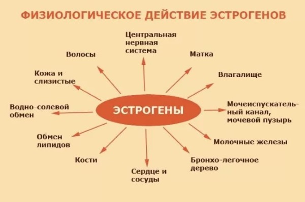 Недостаток эстрогена у женщин. Симптомы, причины и лечение, последствия