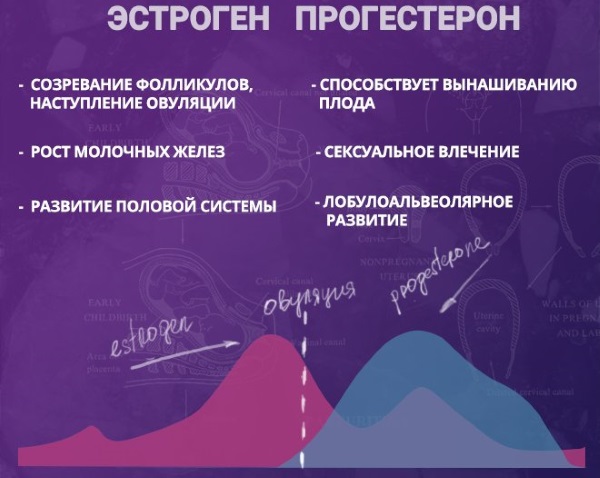 Недостаток эстрогена у женщин. Симптомы, причины и лечение, последствия