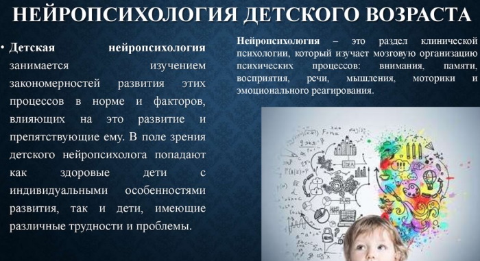 Нейропсихолог детский это кто, что лечит, занятия для ребенка