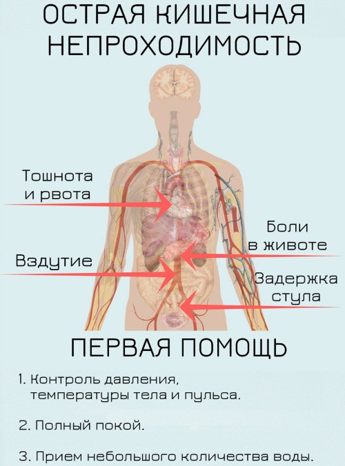 Нормазе. Инструкция по применению, цена, аналоги, отзывы