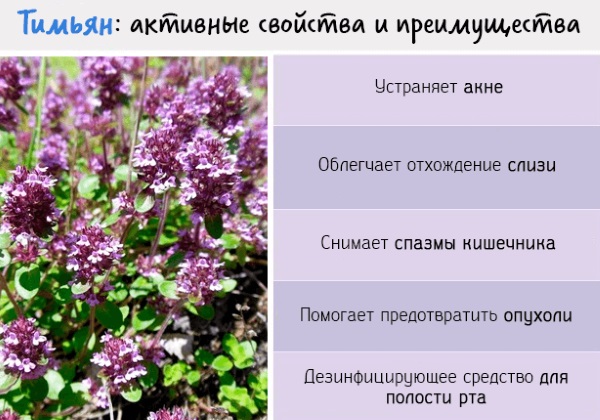 Сироп Зайчонок успокаивающий. Отзывы, инструкция, состав, цена