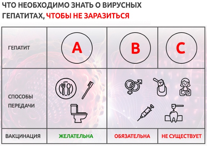 Заболевания печени и желчного пузыря. Симптомы, лечение