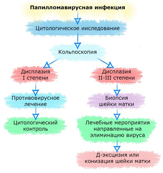 Онкоцитология шейки матки. Что это такое, результаты, расшифровка анализа, цена. Как подготовиться, сдавать, что показывает, сколько делается