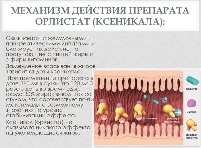 Орлистат (Orlistat) лекарство для похудения 90 капсул. Аналоги, цена, отзывы