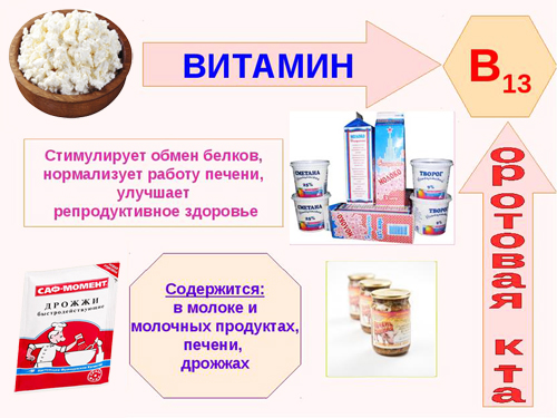 Оротовая кислота. Инструкция по применению, цена, отзывы