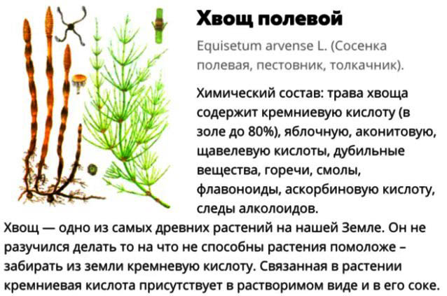 Остеохондроз при беременности. Симптомы, что делать, лечение