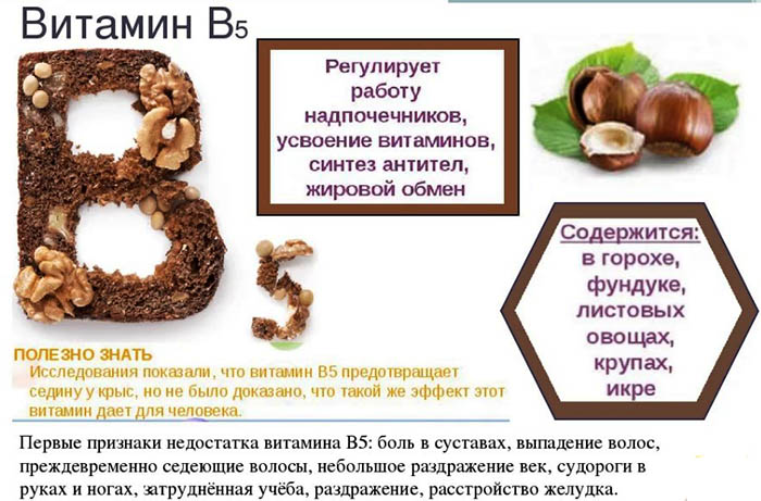Пантотеновая кислота. Инструкция по применению, отзывы
