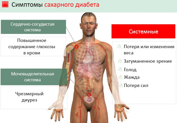 Амлодипин и Лизиноприл вместе можно принимать? Схема приема