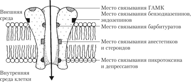 Пикамилон (Picamilonum) для детей. Отзывы, инструкция по применению, цена
