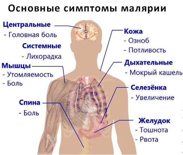 Потеют подмышки. Как избавиться, причины, что делать. Средства, рецепты, методы лечения