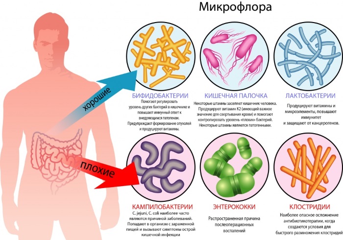 Препараты для микрофлоры кишечника для детей. Список при приеме антибиотиков, для грудничков при запорах, поносе