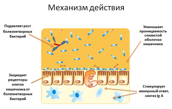 Препараты для микрофлоры кишечника для детей. Список при приеме антибиотиков, для грудничков при запорах, поносе