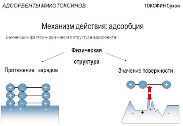 Лучшие препараты при диарее у взрослых. Список