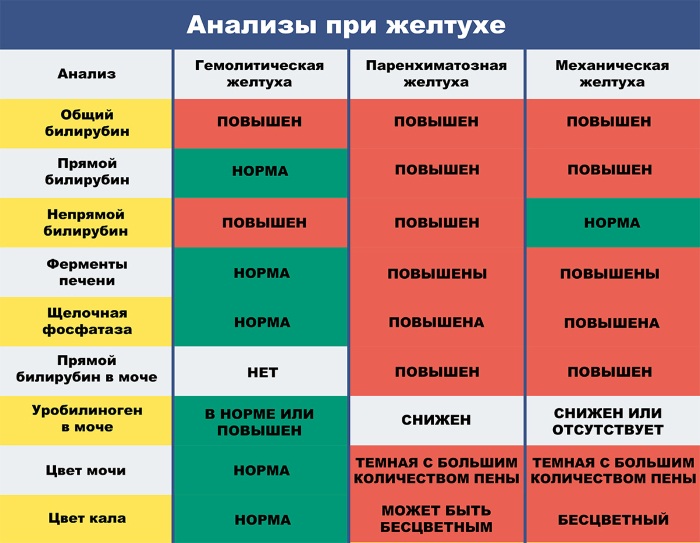 Признаки желтухи у взрослых, фото, как передается, лечение