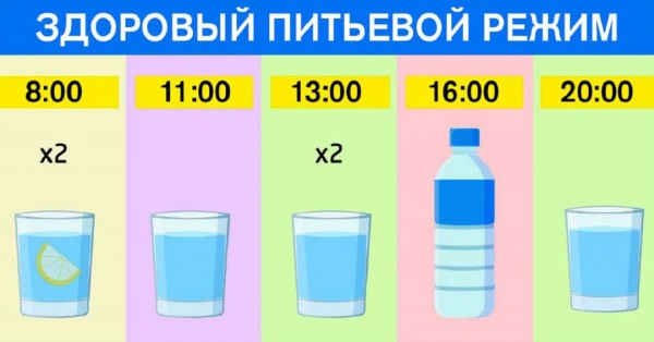 Признаки желтухи у взрослых, фото, как передается, лечение