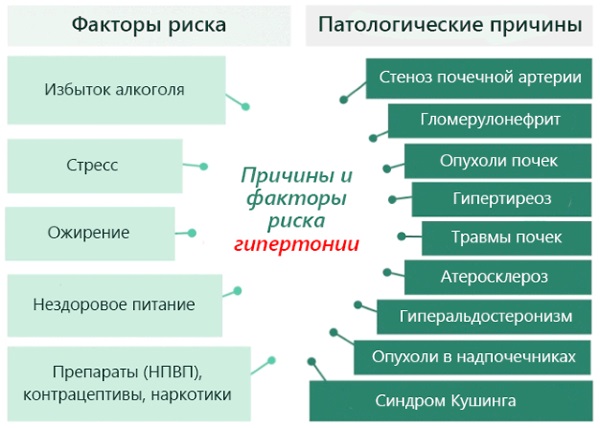 Продукты, понижающие давление у человека. Список для нормализации артериального давления при гипертонии, влияние правильного питания, какие продукты нельзя