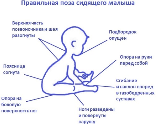 Ребенок не сидит самостоятельно в 6-7-8-9-10 месяцев. Что делать
