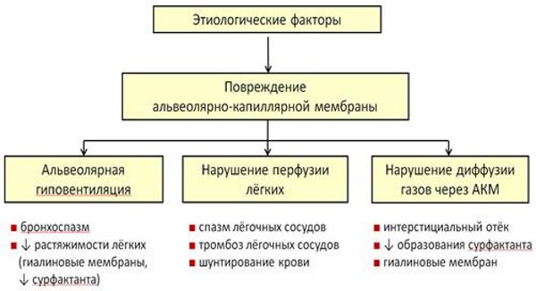 Респираторный дистресс-синдром (РДС) у взрослых, новорожденных, этиология, патогенез, клинические рекомендации