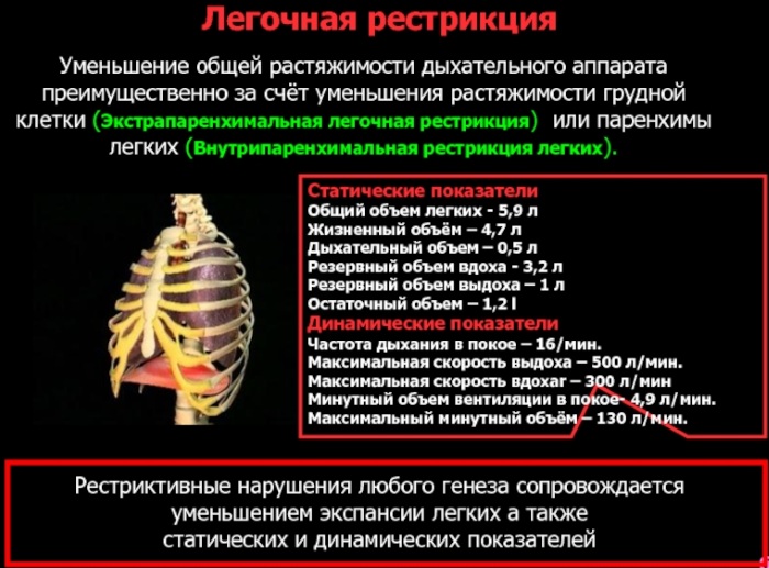 Рестрикция дыхательных путей. Что это такое, спирография, причины и лечение