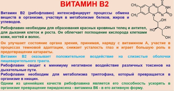 Рибофлавин (Riboflavin) в таблетках. Цена, инструкция по применению, отзывы