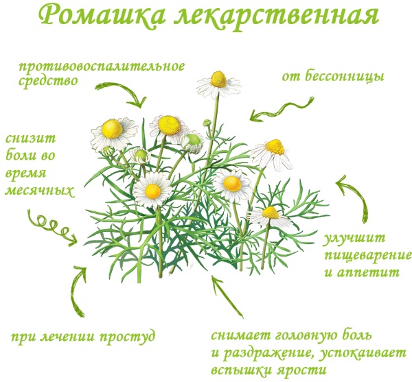 Соленая слюна во рту. Причины у женщин, мужчин, новорожденного, лечение