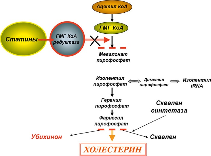 Липримар (Liprimar) 20 мг. Инструкция по применению, цена, отзывы