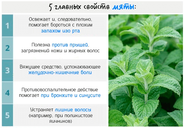 Синдром Плюшкина (патологическое накопительство) психическое заболевание. Что это такое, симптомы, как лечить, избавиться