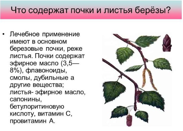 Сбор трав для желудочно-кишечного тракта, желчегонный, очищающий организм. Рецепты