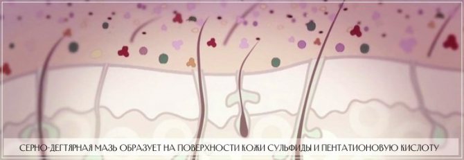 Серно-дегтярная мазь. Цена, отзывы