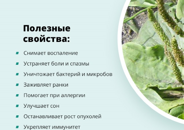 Сигмовидная кишка. Где находится и как болит, симптомы, заболевания, лечение и операция по удалению