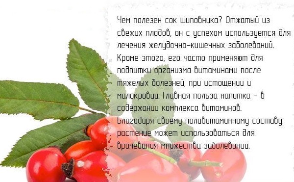 Сигмовидная кишка. Где находится и как болит, симптомы, заболевания, лечение и операция по удалению