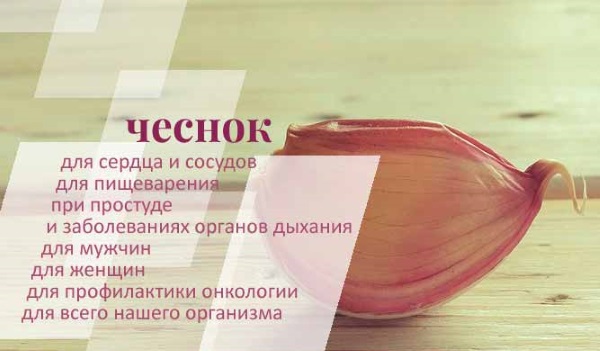 Симптомы глистов у взрослого человека в кишечнике, признаки. Диагностика, лечение народными средствами, препараты