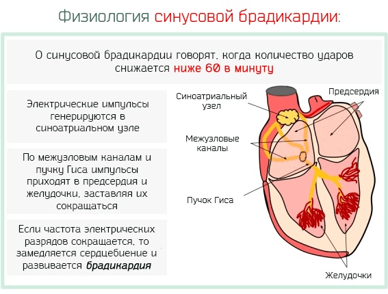 Лориста (Lorista). Отзывы пациентов, принимавших препарат, инструкция по применению, аналоги
