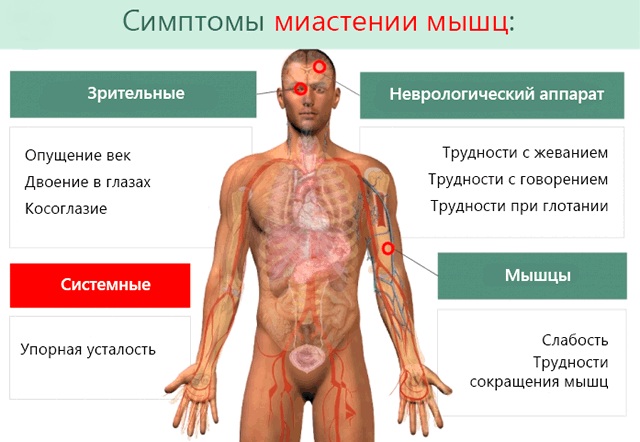Феназепам (Phenazepam). Отзывы пациентов, принимавших препарат, инструкция по применению, аналоги