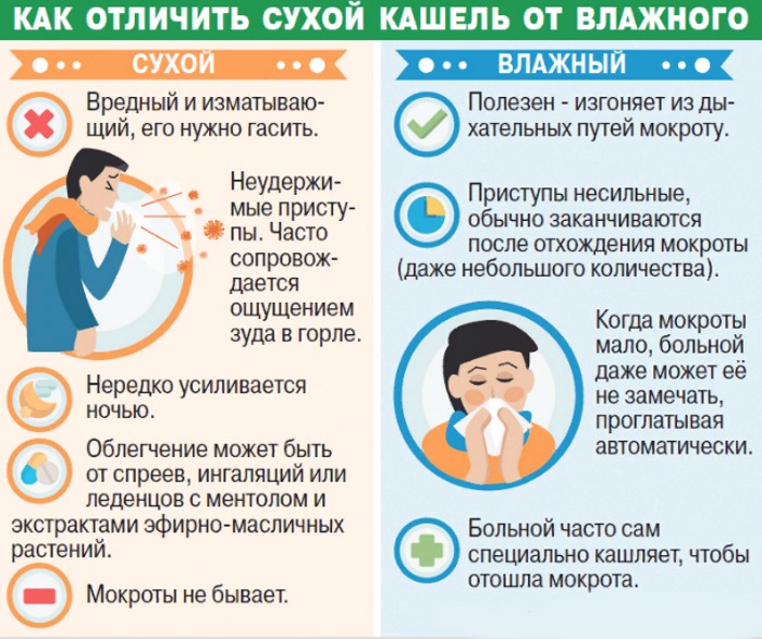 Сиропы от кашля. Лучшие недорогие и эффективные для взрослых. Список, цены
