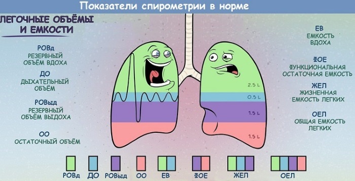 Экспираторная одышка. Что это такое, для чего характерна, признак чего, лечение