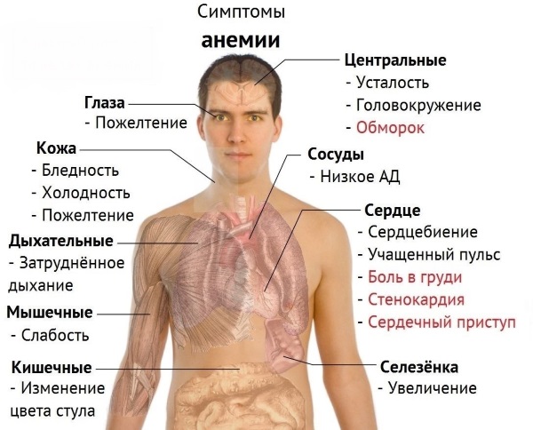 Таблетки для вызывания месячных при задержке, беременности. Названия без рецептов, цены, как принимать