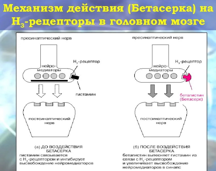 Тагиста. Инструкция, показания к применению, цена, отзывы