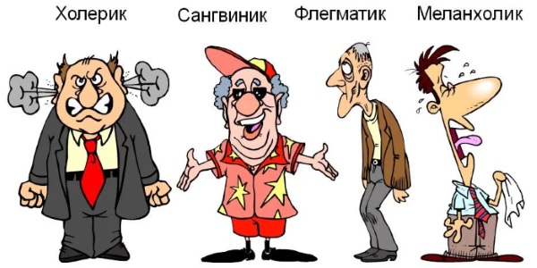 Личность в психологии. Что это такое, развитие, типы по Асмолову, Аверину, Ковалеву, Слотиной