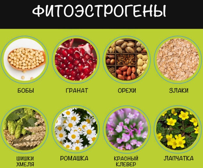 Кремы с эстрогенами для лица женщин. Отзывы