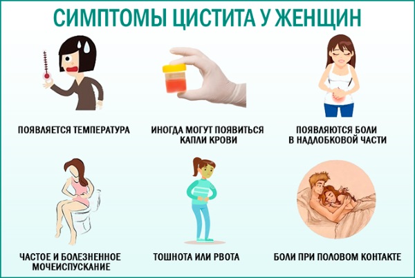 Цистит у женщин при беременности. Симптомы, лечение. Препараты, народные средства, антибиотики
