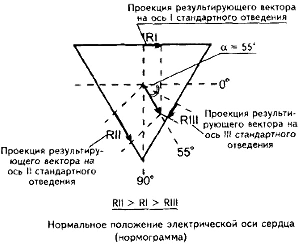 Угол альфа (α, ЭОС, электрическая ось сердца) на ЭКГ. Норма у взрослых, детей, как определить