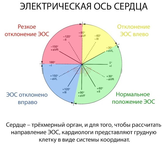 Угол альфа (α, ЭОС, электрическая ось сердца) на ЭКГ. Норма у взрослых, детей, как определить
