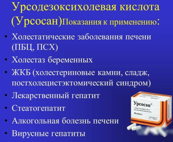 Урсосан или Хофитол. Что лучше, разница, отличия