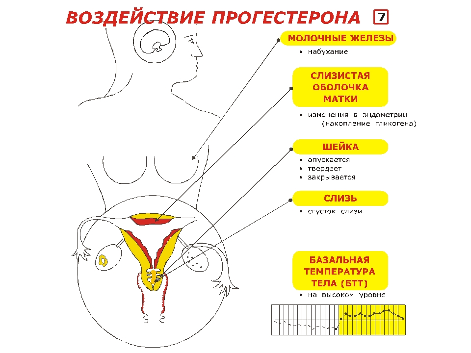 Утрожестан свечи. Инструкция по применению для женщин, при беременности. Цена