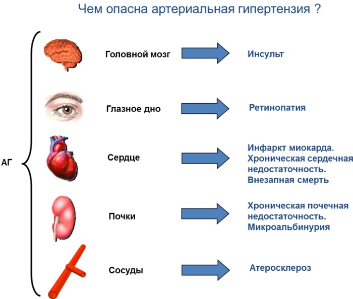 Вариабельность пульса. Норма сердечного ритма. Что это такое, показатели и значение, расшифровка